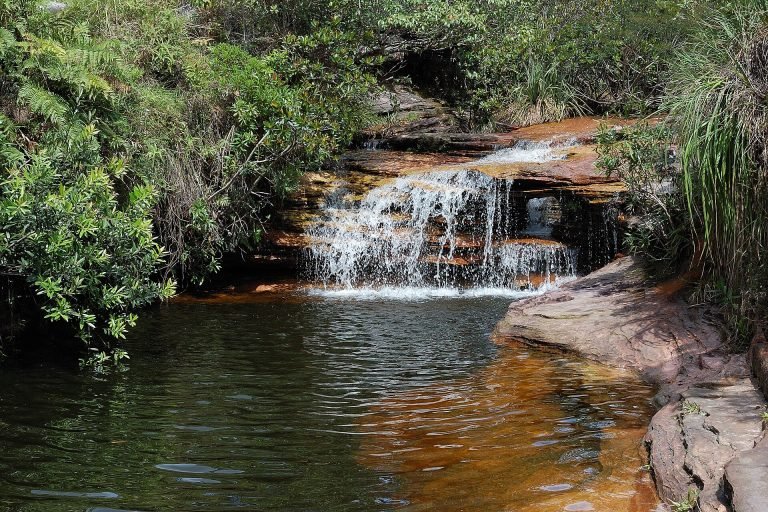 Pequena cachoeira em degraus de pedra caindo em poço cercado de mata