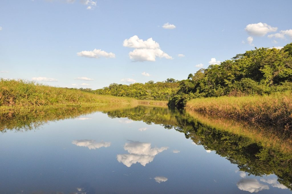 Canal de água parada refletindo nuvens, margeado por capim e mata
