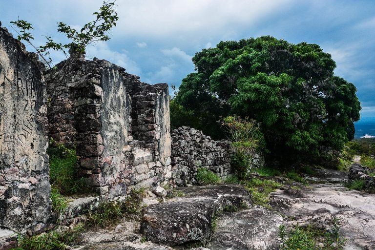 Paredes de pedra em ruínas tomadas pela vegetação, com árvore e céu com nuvens ao fundo
