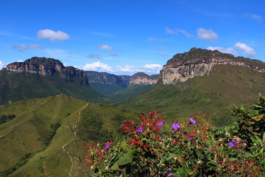Vale verde cercado por paredões de arenito, com flores roxas em primeiro plano